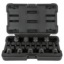 JBM 52340 - SET DE 8 PUNTAS DE IMPACTO TORX DE