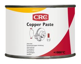 CRC 10690AB - COOPER PASTE DE 100 GR