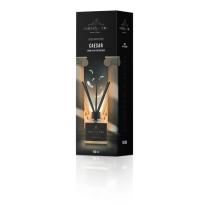 LAMPA 02146Q - AMBIENTADOR TASOTTI REED DIFFUSER HOME CESAR 100ML