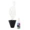 AMIO ACCESORIOS 02779 - COMPROBADOR DE JUNTAS DE CULATA 10 ML