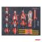 AMIO ACCESORIOS 04892 - CARRO DE HERRAMIENTAS 7 CAJONES CON 258 PIEZAS